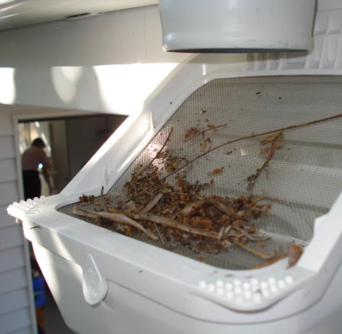 Rain Harvesting Leaf Eater Advanced 90mm with debris Rain Harvesting Leaf Eater Advanced 90mm with debris